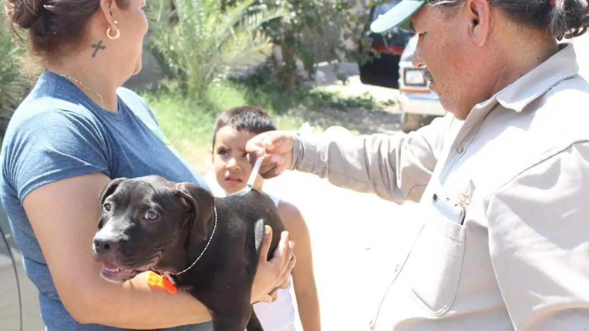 23 Llevan campaña de vacunación antirrábica a la colonia San José